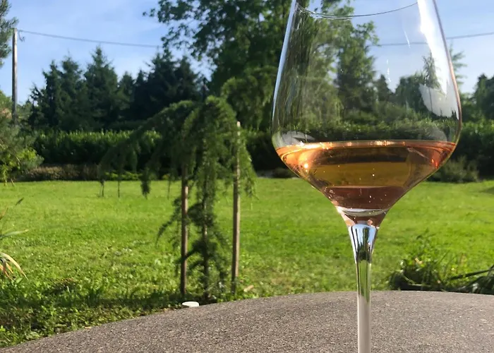 Lak-lak Vendeghaz Apartment *